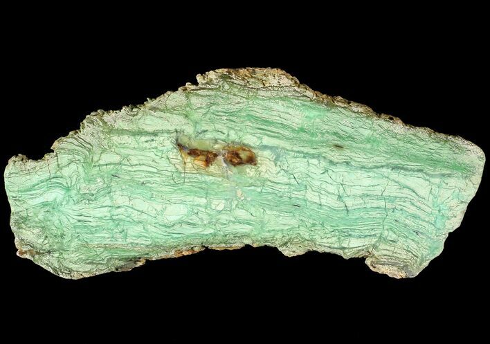 Polished Green Chrysoprase Slab - Western Australia #63340